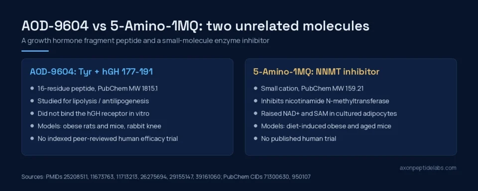 Side-by-side panels: AOD-9604, a 16-residue growth hormone fragment peptide, versus 5-Amino-1MQ, a small-molecule NNMT inhibitor