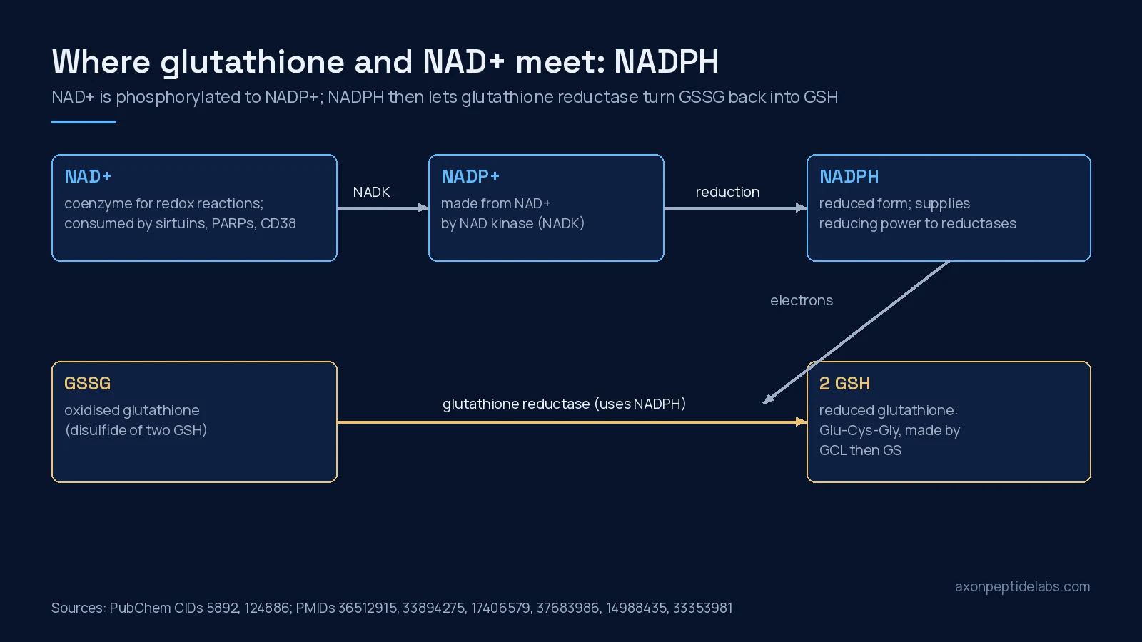 Diagram linking NAD+ to glutathione: NAD kinase makes NADP+, NADPH drives glutathione reductase to regenerate GSH from GSSG