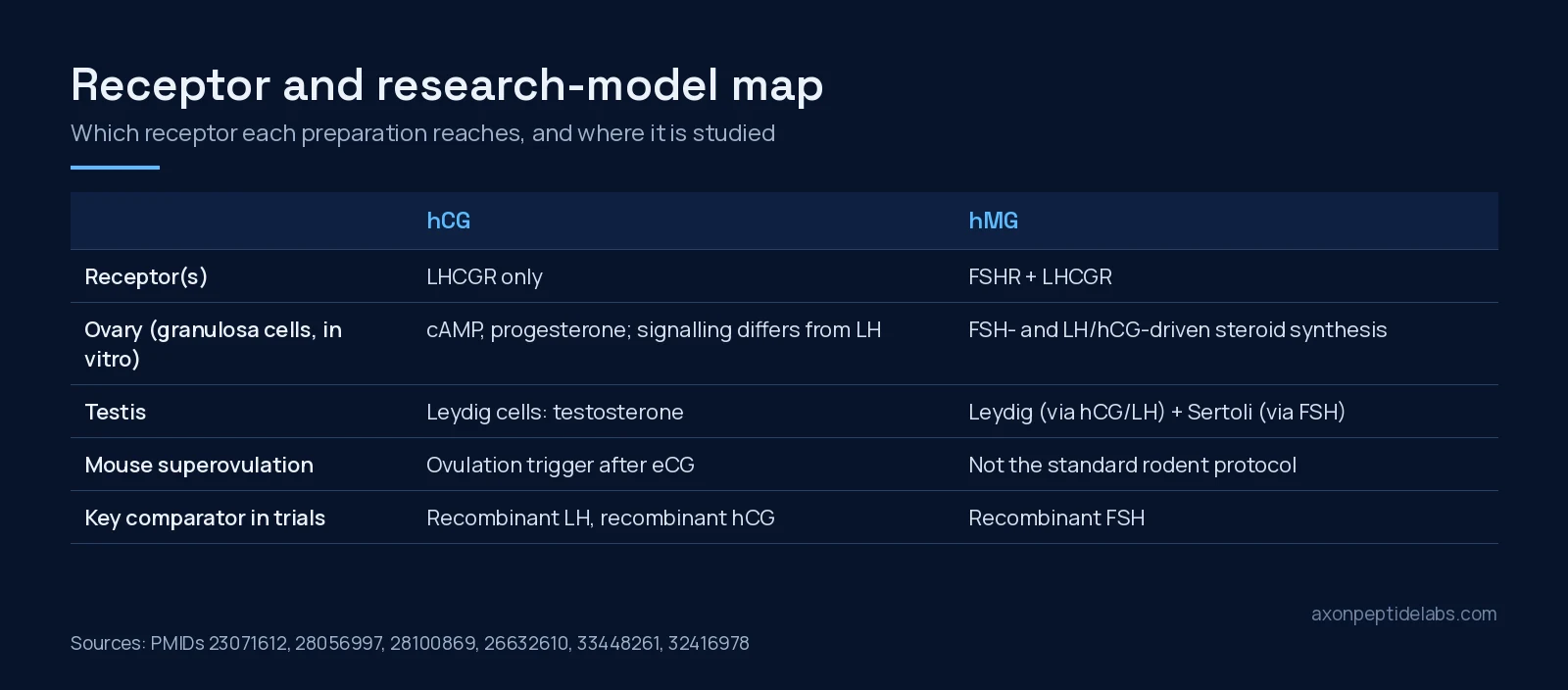 Table graphic mapping hCG and hMG to their receptors and research models: ovary, testis, mouse superovulation and trial comparators