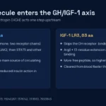 Diagram comparing where somatropin (HGH) and IGF-1 LR3 act on the growth hormone and IGF-1 axis