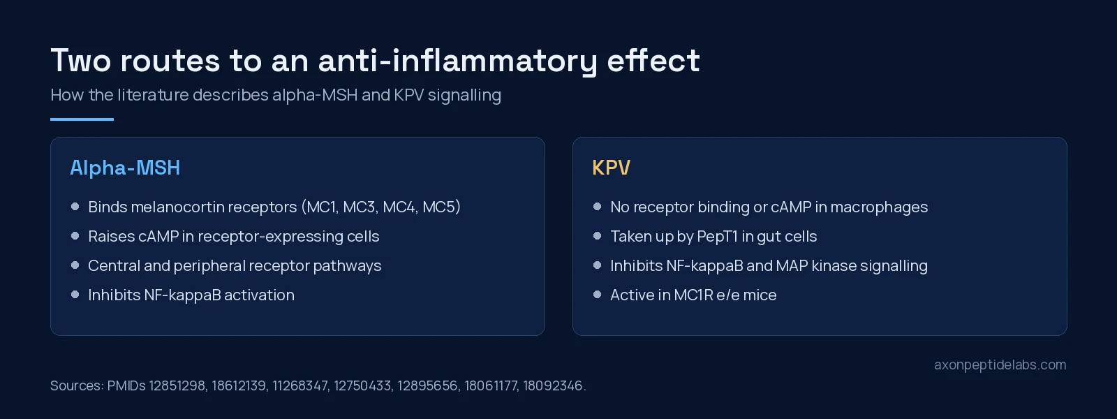 Two-panel diagram contrasting alpha-MSH melanocortin receptor signalling with KPV PepT1 uptake and receptor-independent effects