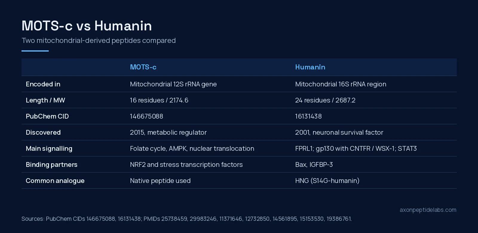 MOTS-c vs humanin comparison table: encoding gene, length, molecular weight, PubChem CID, discovery, signalling and binding partners