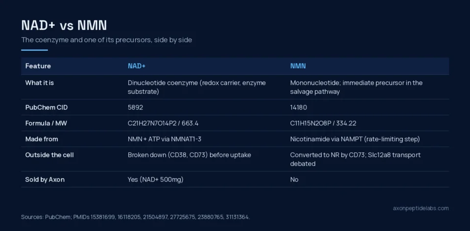 NAD+ vs NMN comparison table: identity, synthesis enzyme and cell entry