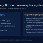 Diagram comparing semaglutide, a GLP-1 receptor agonist, with cagrilintide, an amylin and calcitonin receptor agonist