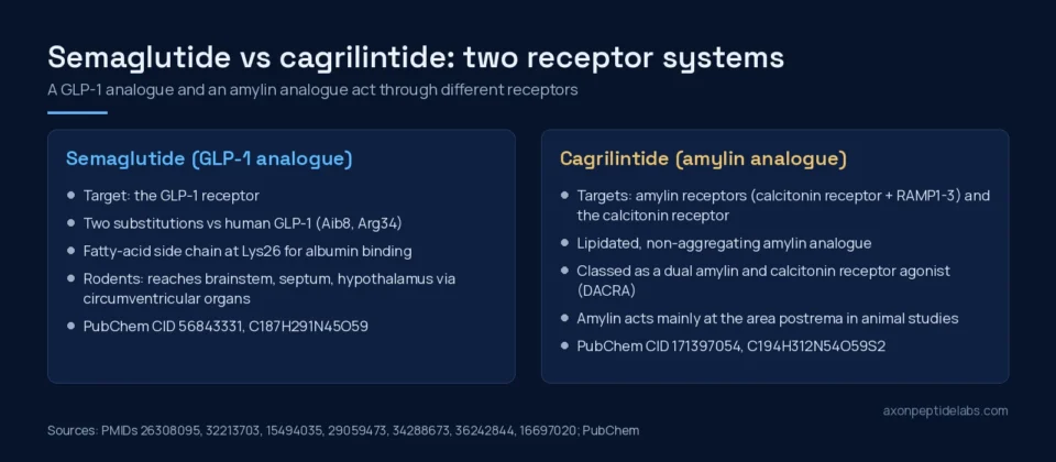 Diagram comparing semaglutide, a GLP-1 receptor agonist, with cagrilintide, an amylin and calcitonin receptor agonist