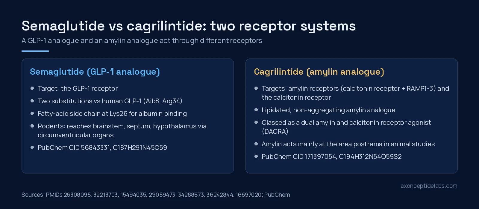 Diagram comparing semaglutide, a GLP-1 receptor agonist, with cagrilintide, an amylin and calcitonin receptor agonist