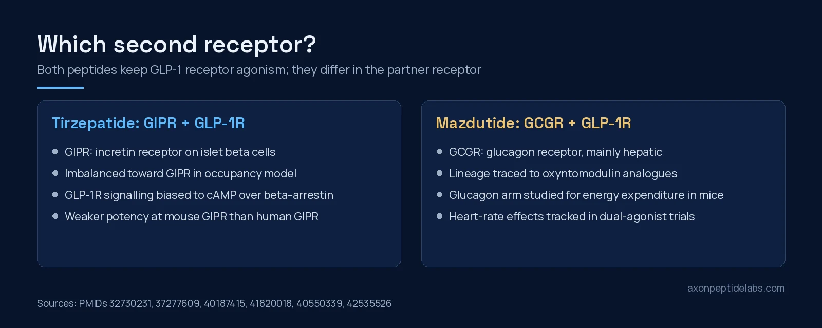 Diagram of tirzepatide GIPR plus GLP-1R versus mazdutide GCGR plus GLP-1R